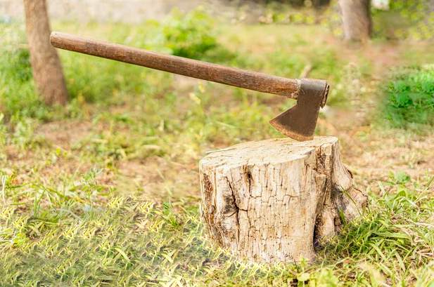 rimozione di ceppi di albero con accetta