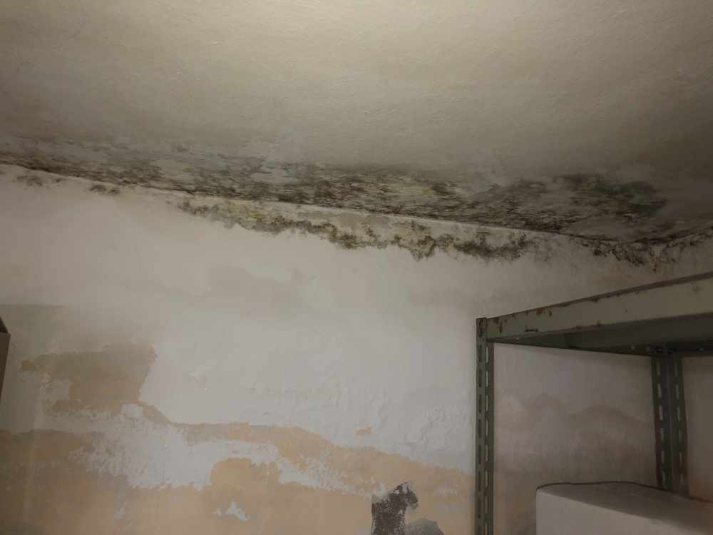 umidità sui muri dovuta a condensa